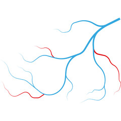 Abstract blue and red branching lines with a white background symbolizing connection growth or network systems