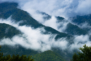 Fototapeta premium Rodnei Mountain range in Maramures county, Romania