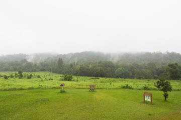 Dense Fog Rolling Over Lush Tropical Forest and Green Field Khao Yai