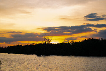  Sunset sky clouds in the Evening with Golden orange sunlight in golden hour, Dusk sky background
