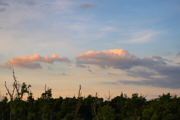 Sunset sky clouds in the Evening with Golden orange sunlight in golden hour, Dusk sky background