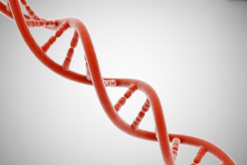 A vibrant red 3D rendered DNA double helix structure, representing genetic information and biological science against a clean, minimalist background.