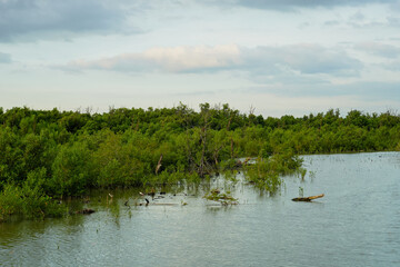 Nature Conservation Center and Mangrove Conservation Center the longest in Thailand at Samet district, Chonburi Province.	
