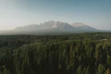 Majestic snow capped mountain range looms in the distance above a vast dense evergreen forest under a clear pale blue sky evoking a sense of serene wilderness and natural beauty