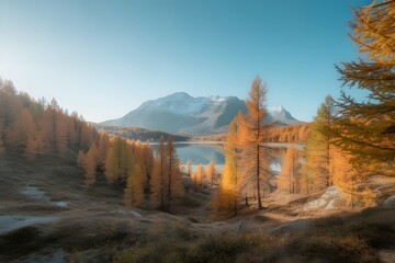 Golden autumn larches frame a serene alpine lake with snow capped mountains under a clear blue sky showcasing breathtaking natural beauty and seasonal change