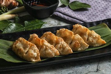 Japanese cuisine - stuffed dumplings gyoza