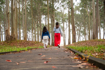 Two little girls are walking on a wooden path in a forest. The path is surrounded by tall trees, and the girls are enjoying the peaceful atmosphere. One of the girls is wearing a blue jacket