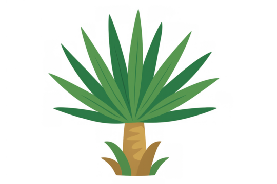 Tropical plant graphic illustration capturing nature, vegetation, and exotic botany on transparent background