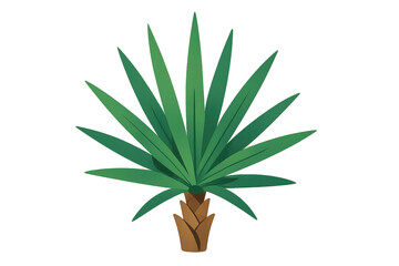Tropical yucca palm plant icon, a desert tree or houseplant with green leaves for nature and garden themes