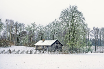 Wooden croft in the snowy countryside at a grove of trees © Lars Johansson