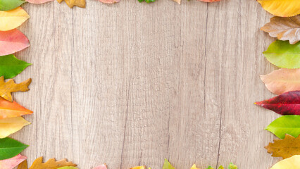 Colorful autumn leaves arranged in a frame on a wooden surface, perfect for fall decoration, seasonal designs, and Thanksgiving-themed concepts