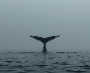 Whale tail emerging from calm ocean waters in a misty atmosphere.