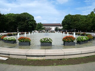 上野公園の噴水池
