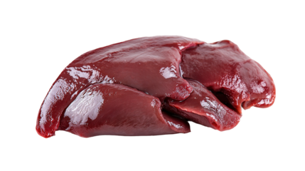 Beef Liver  Isolated on White Background