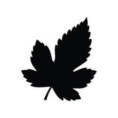Black silhouette of a maple leaf on white background