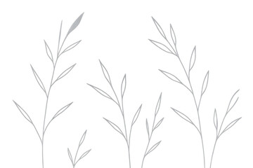 Naklejka premium Grass plant drawing illustration on transparent background