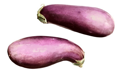 水彩で描いた茄子の素材セット