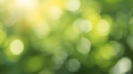 Soft focus green bokeh background with bright sunlight and blurred leaves
