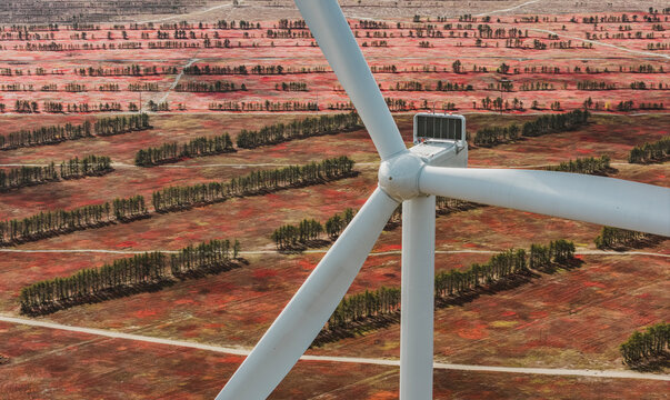 Close up of wind turbine amidst a field of wild blueberries
