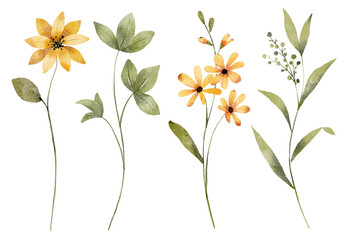 Flowers and leaves digital illustration, spring design, watercolor hand painting. Perfectly for printing, sublimation.