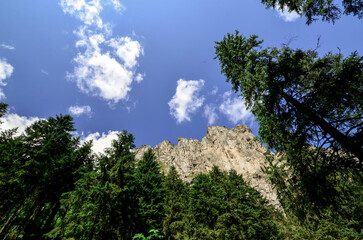Beautiful summer landscape of the Polish Tatra Mountains with lush green forests, rolling hills, and clear blue skies. The scene captures the untouched beauty of nature and the peaceful atmosphere of 