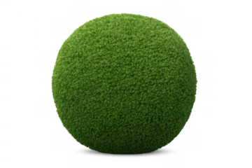 Green grass sphere, topiary bush ball, creating a natural garden decor element with transparent background
