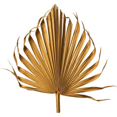 Elegant golden dried fan palm leaf with natural texture and rich metallic sheen