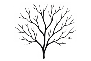 Bare tree silhouette with many branching lines representing nature, growth, and winter season, vector illustration on transparent background