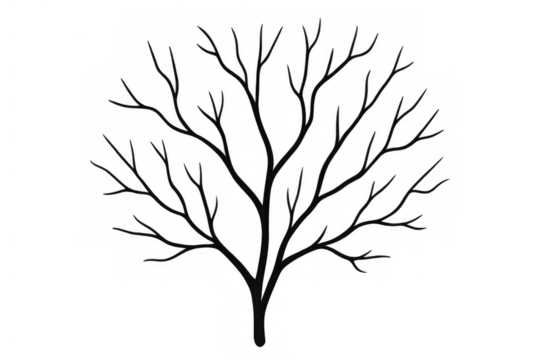 Bare tree silhouette with many branching lines representing nature, growth, and winter season, vector illustration on transparent background