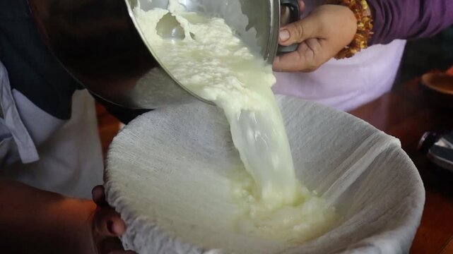 Curdled milk being strained through cheesecloth, separating curds and whey in the process of making homemade cheese or yogurt.