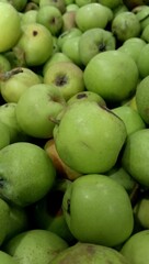 Javanese green apple