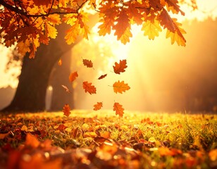 Golden autumn scene with leaves falling, sunlight through trees