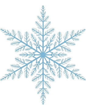 Fototapeta Intricate translucent blue snowflake winter ice crystal on a transparent background PNG file
