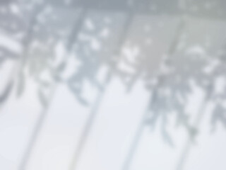 柵と木の影が地面に映る背景