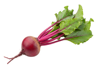 A single, perfectly fresh, vibrant red beet with lush green leaves and reddish-purple stems, isolated against a pristine, seamless transparent background with copy space, concept of natural purity and