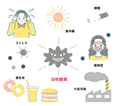 活性酸素が増える理由、原因、図