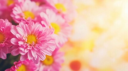 Fototapeta premium Vibrant pink flowers bring joy in a sunny garden setting