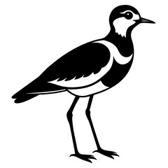 Black and white illustration of a northern lapwing bird standing