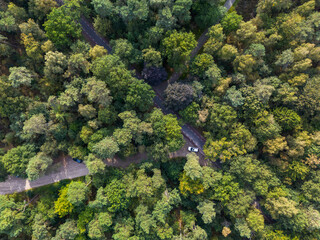 Aerial view of forest bisected by asphalt road with dashed lines; blue car parked near paved rest area showcasing contrast between dense greenery and infrastructure.