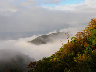 雲海に覆われた六甲の山並みと神戸市街地