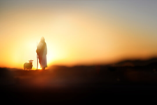 Jesus Christ, a shepherd walking with sheep on a meadow, Christian Jesus background
