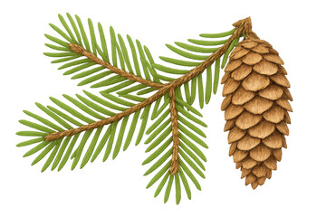 Spruce branch with pinecone illustration, evergreen conifer tree element for nature and winter designs