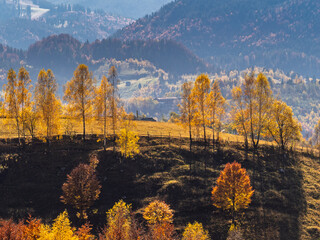 autumn landscape in the mountains