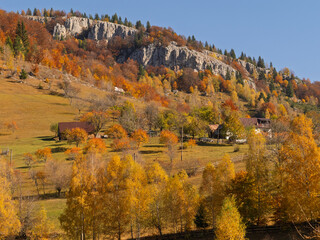 autumn landscape in the mountains