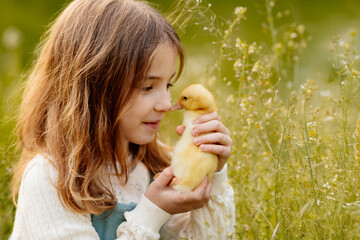 Lovely girl cuddling baby duckling.