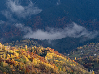 autumn landscape in the mountains