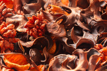 Potpourri or Pot Pourri, orange autumn fall colours with an orange and cinnamon scent. Natural aromatherapy scented concept.
