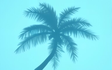 Summer concept. Palm tree shadow on a blue  background. High quality