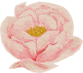 textured watercolor flower, vintage, sticker