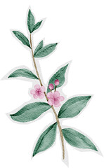 textured watercolor flower, vintage, sticker